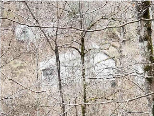 Land for sale in Virginia