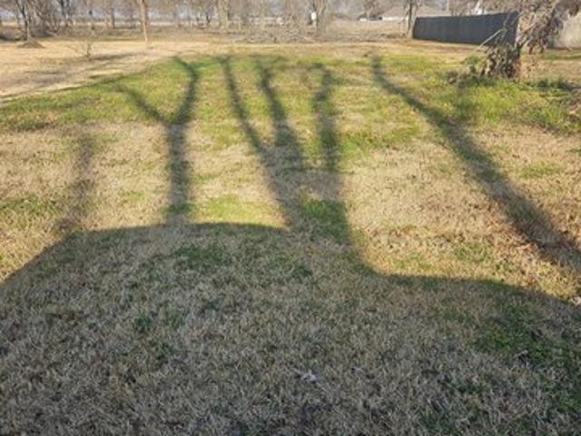 Land for sale in Rayville, Louisiana