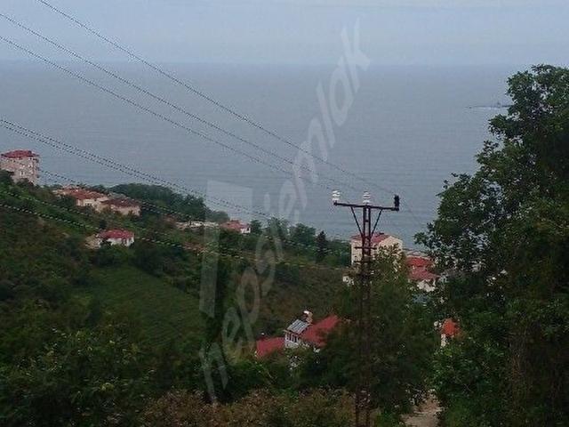 Giresun içerisinde satılık mülk