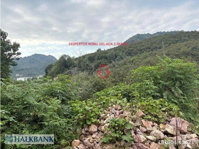 Giresun içerisinde satılık Arsa