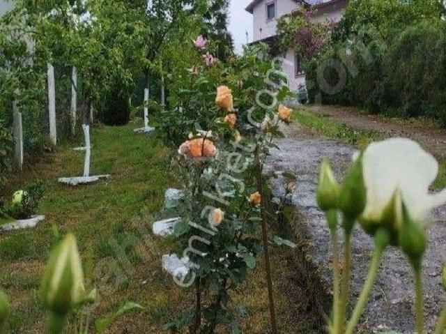 Giresun içerisinde satılık Villa