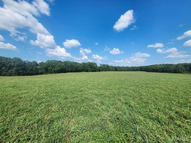 Land for sale in Mountain Grove, Missouri