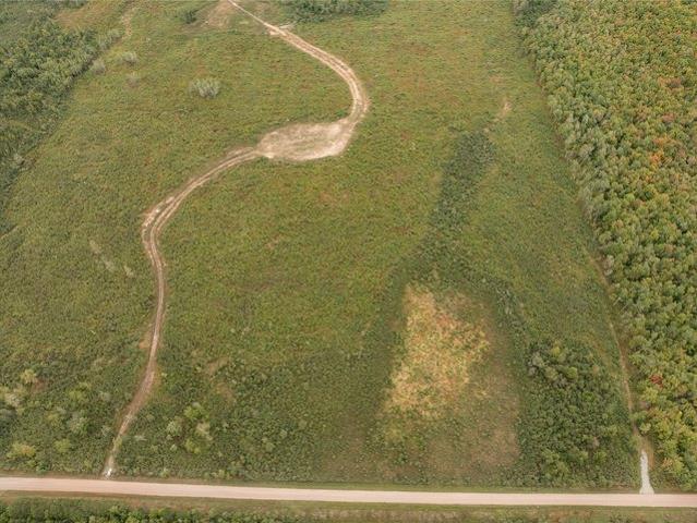 Land for sale in Ladysmith, Rusk County