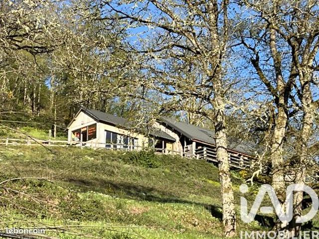 Maison vente à Issoire, Singles