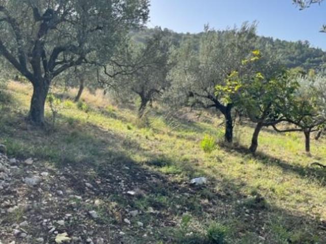 Terreno in vendita a Giungano, Campania