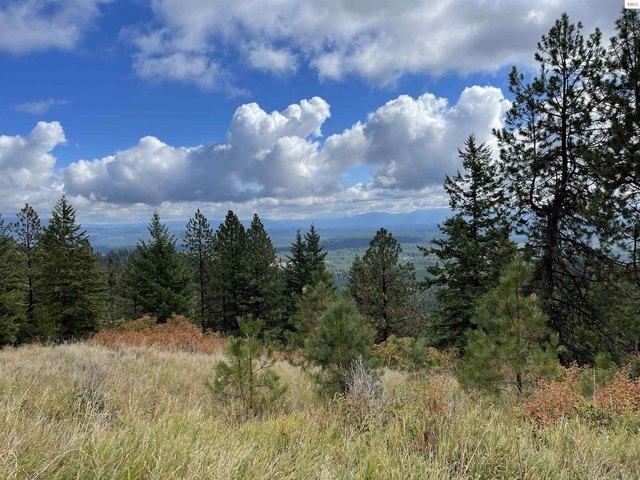 Land for sale in Priest River, Idaho