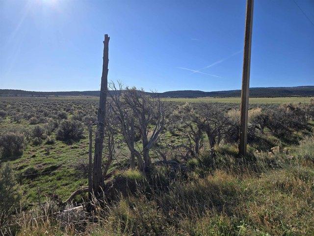 Land for sale in Glade Park, Mesa County