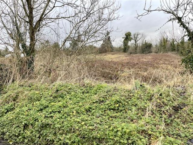 Property for sale in Longford, North Tipperary