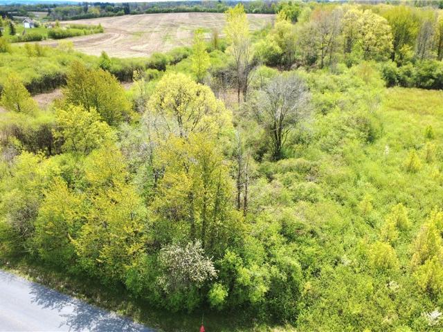 Land for sale in Town of Fleming, Cayuga County