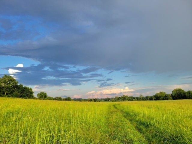Land for sale in Tennessee