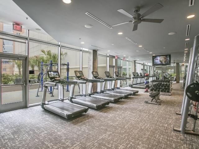 Apartment for rent in Dallas, Texas