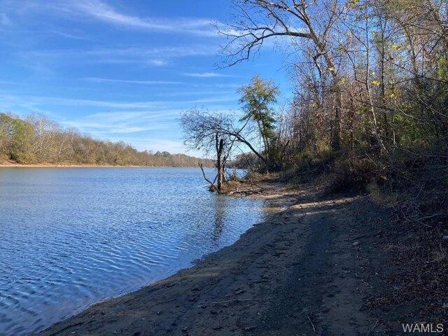 Land for sale in Fosters