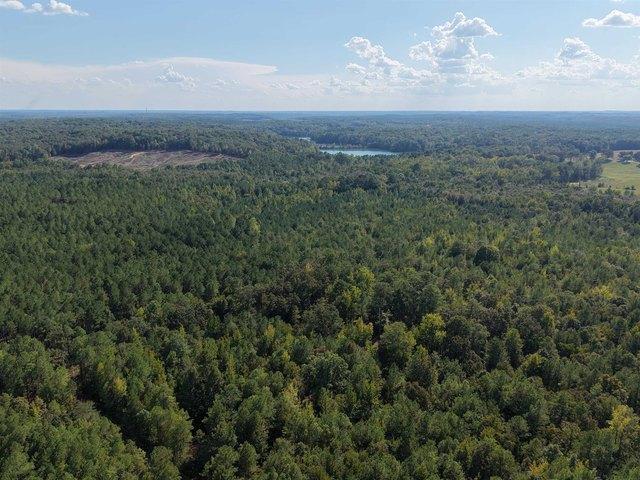 Land for sale in Sulligent, Lamar County