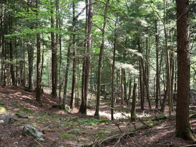 Land for sale in Athol, New York