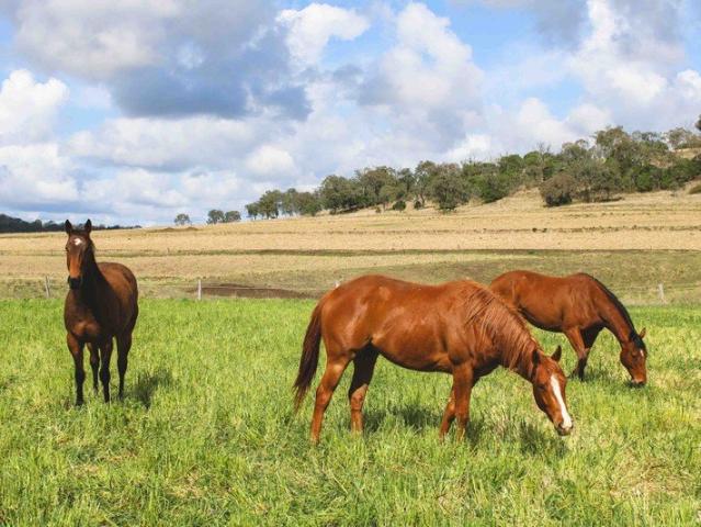 Property for sale in Southbrook, Queensland