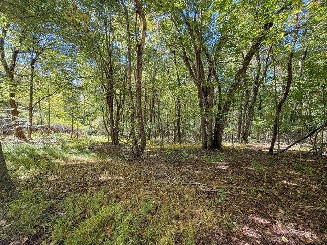 Land for sale in Meadows of Dan, Patrick County