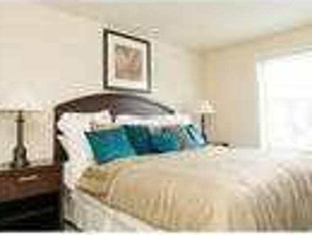 House for rent in Fork, Kingsville