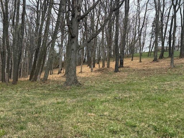 Land for sale in Glen Dale, West Virginia