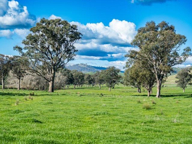 Acreage for sale in Walwa, Victoria