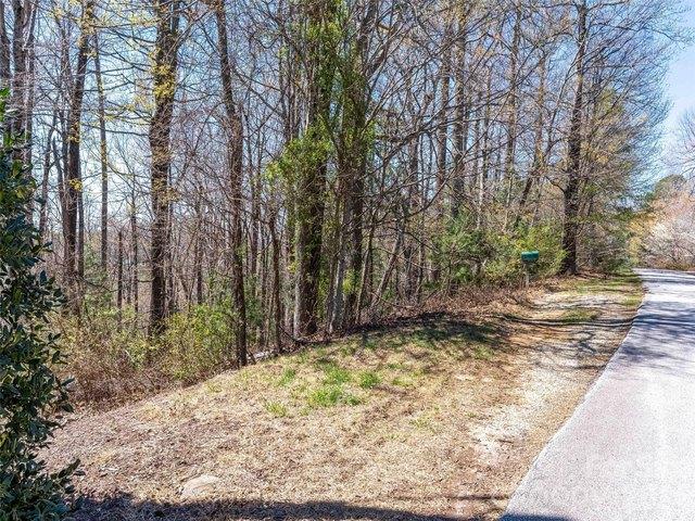 Land for sale in Saluda, North Carolina