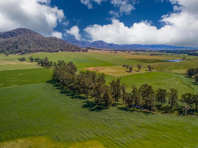 Property for sale in Denman, New South Wales