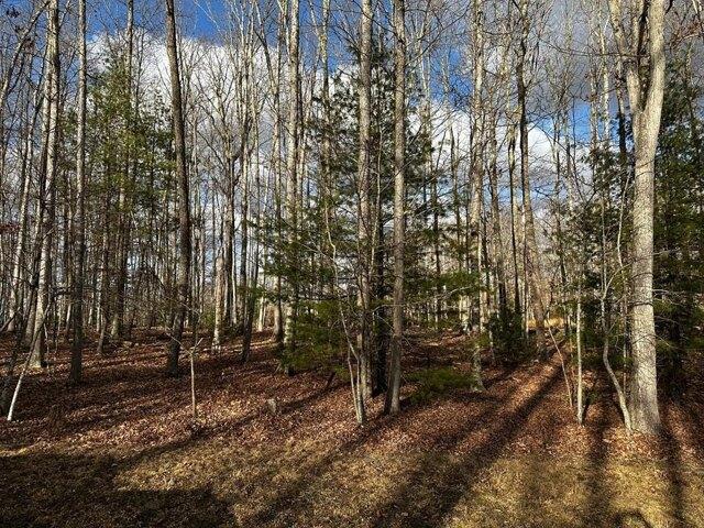 Land for sale in Cool Ridge, West Virginia