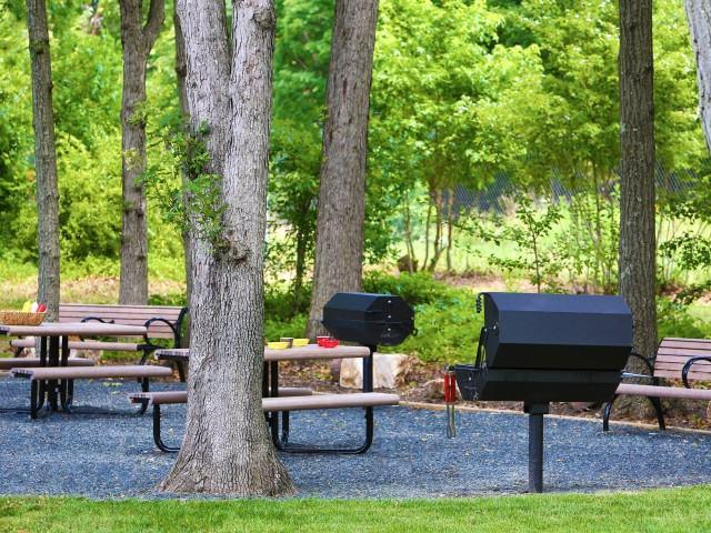 Apartment for rent in Greenbelt, Maryland