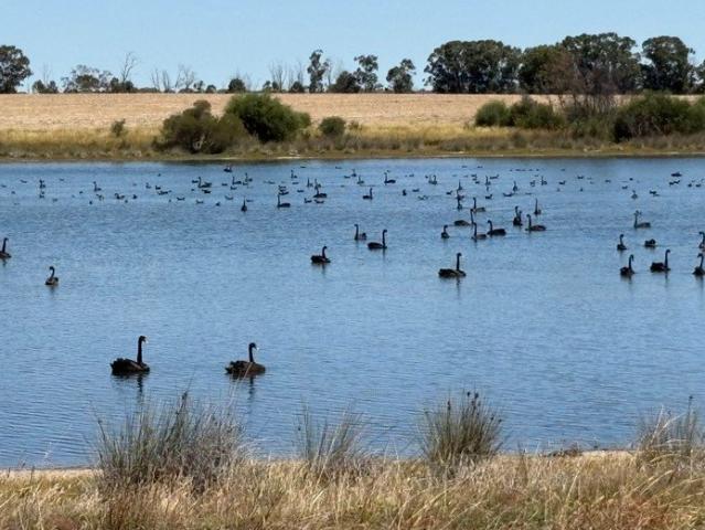 Cottage for sale in Dandaragan, Western Australia