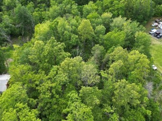 Land for sale in Rustburg