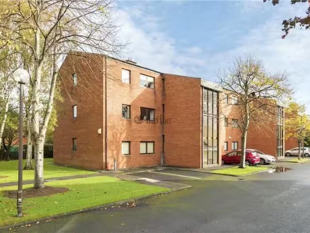 Apartment to rent