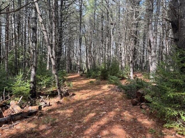 Land for sale in Bangor, Maine