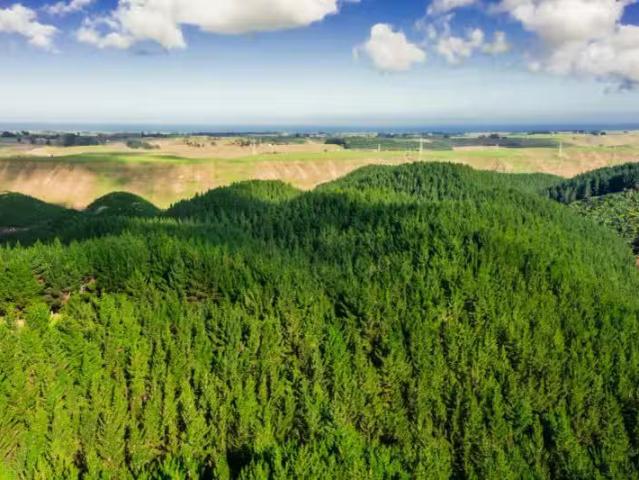 House for sale in Wanganui District