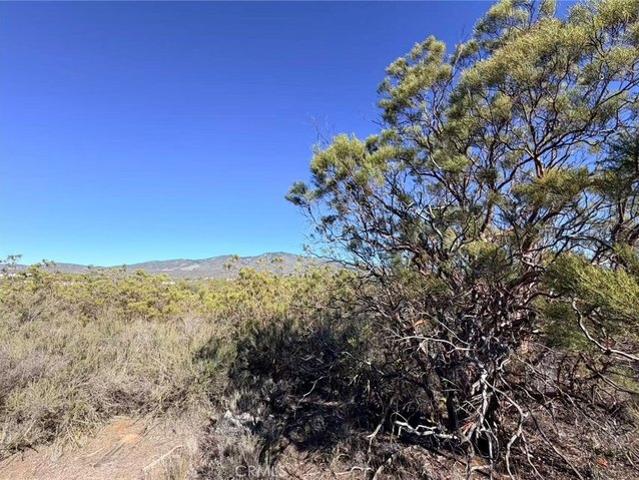 Land for sale in Anza, California