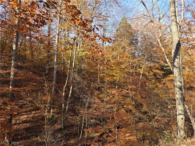 Land for sale in Ellenboro, West Virginia