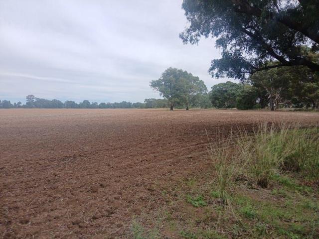Cottage for sale in Tooraweenah, New South Wales