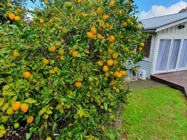 House for rent in Wairau Valley, Oroua County
