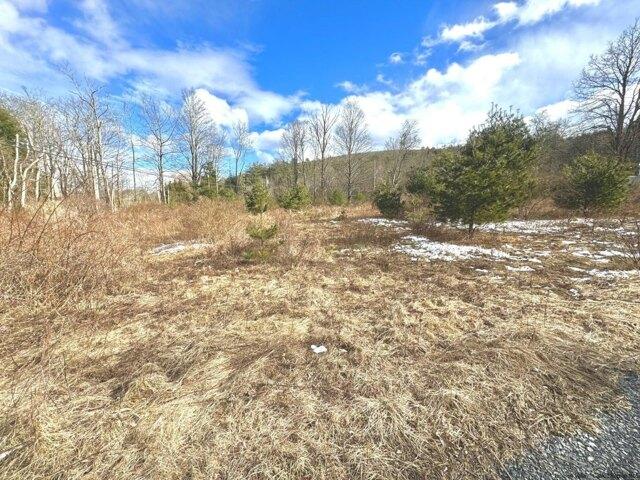 Land for sale in Bearsville