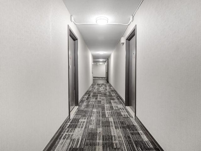 Apartment for rent in Kingston, Ontario