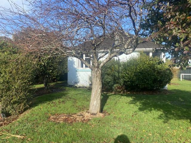 House for rent in Invercargill Central