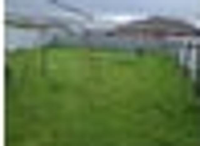 House for rent in Invercargill, Southland