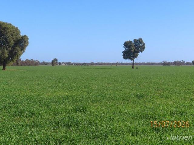 Property for sale in Bogan, New South Wales
