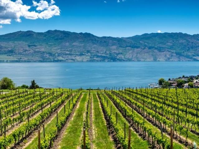 Apartment for rent in Winfield, British Columbia