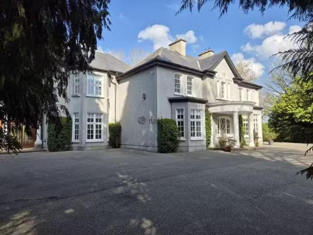 House to rent