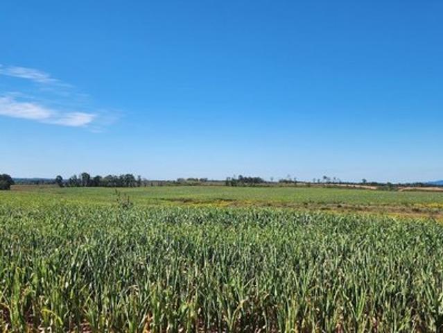 Farm for sale in Virginia