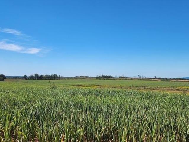 Land for sale in Virginia