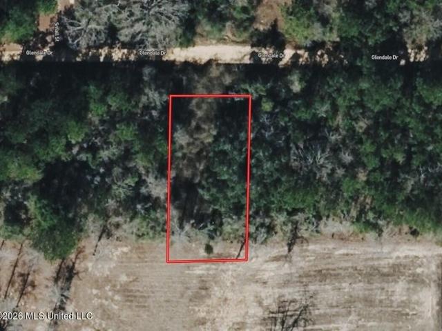 Land for sale in Lumberton, Mississippi