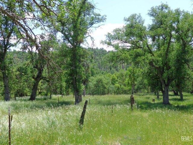 Land for sale in Glennville Land for sale in Glennville