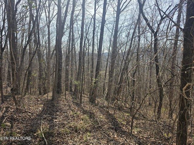 Land for sale in Tennessee
