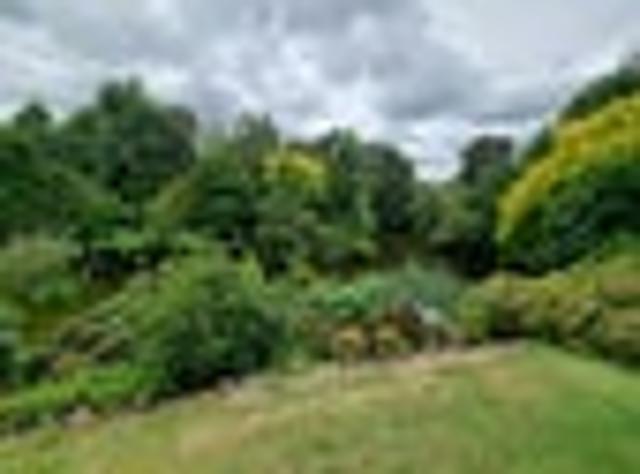 House for rent in Hamilton, Waikato