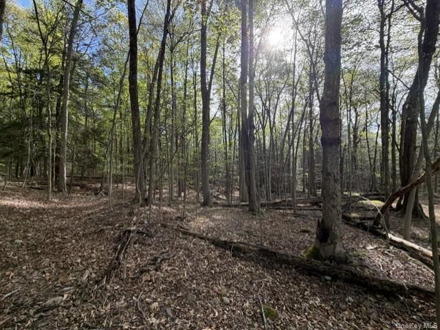 Land for sale in Bethel, New York